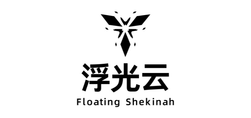 大王网络